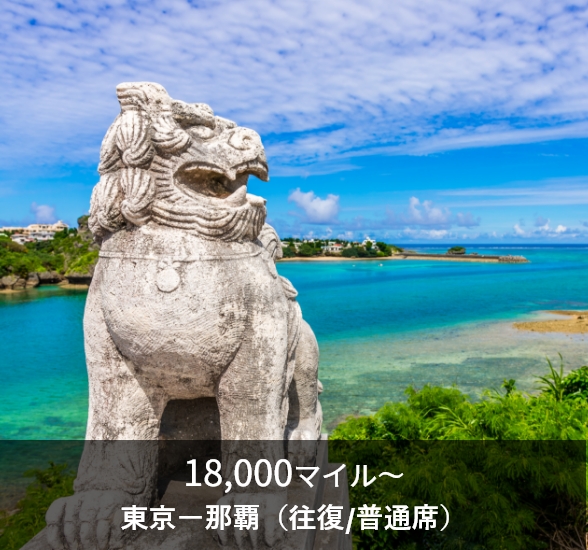 18,000マイル～ 東京ー那覇（往復/普通席）