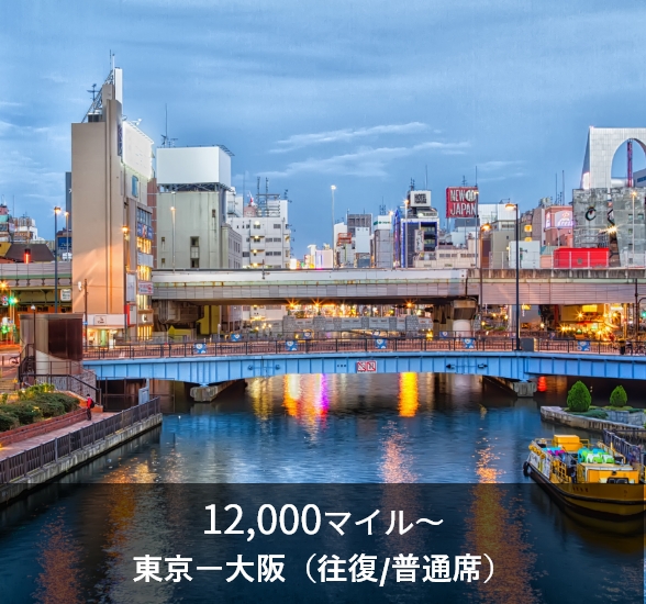 12,000マイル～ 東京ー大阪（往復/普通席）
