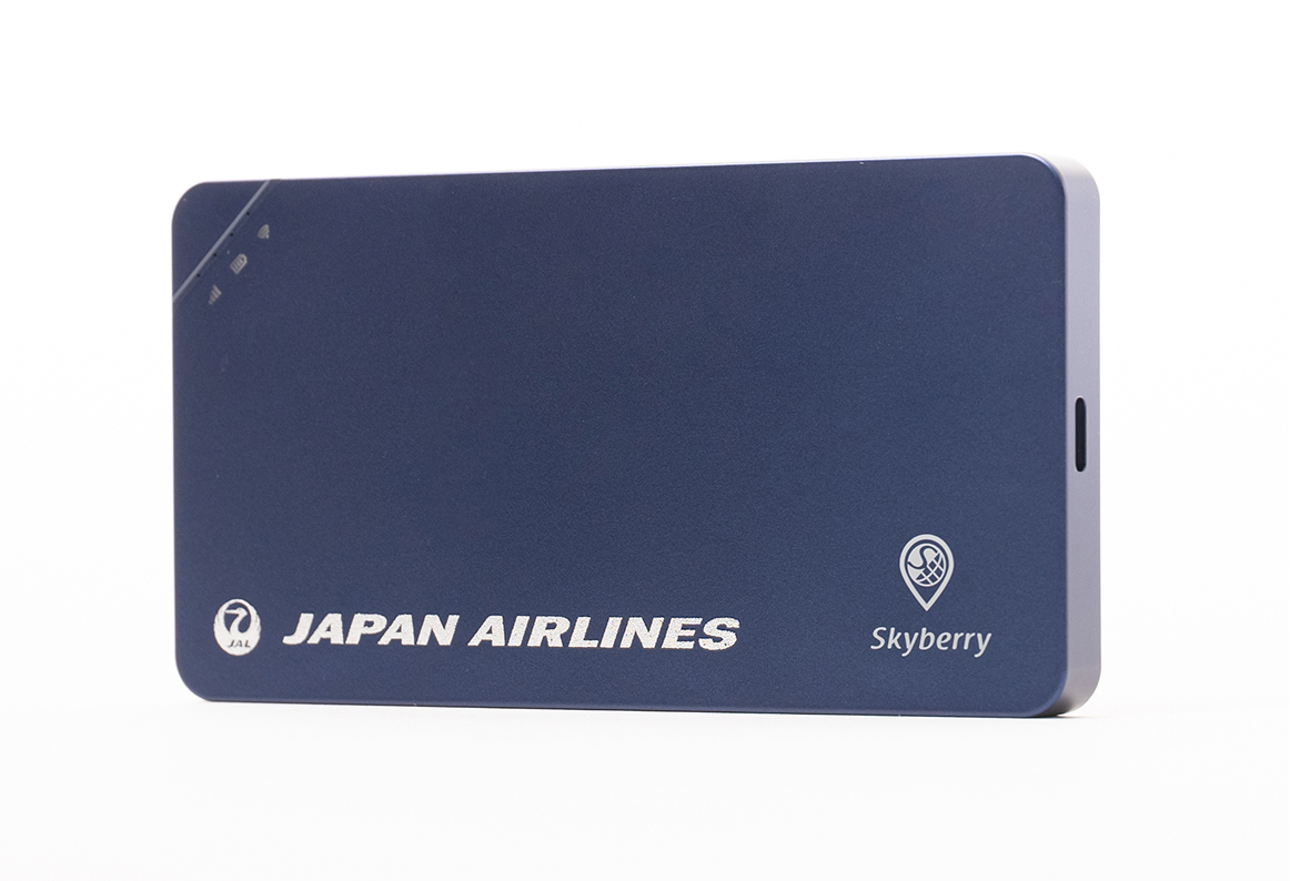 Skyberry