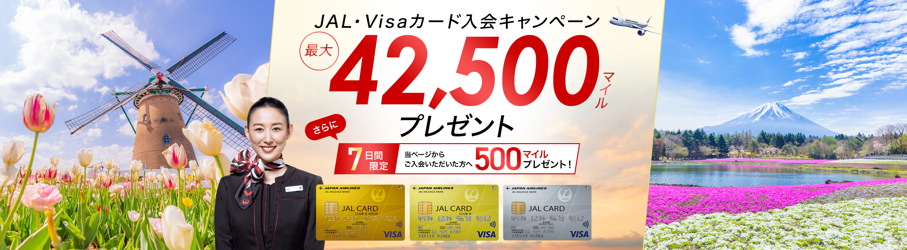 JAL・Visaカード 入会キャンペーン