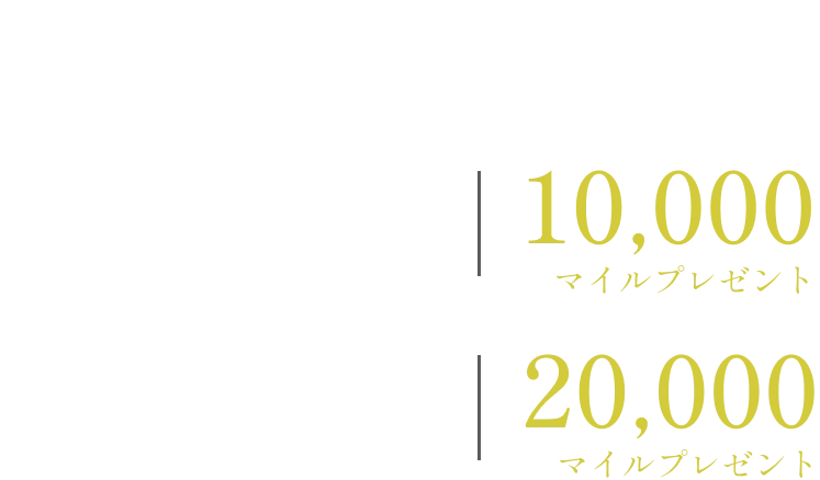 年間のご利用額に応じてマイルをプレゼント。年間利用額300万円以上500万円未満の場合、10,000マイルプレゼント。年間利用額500万円以上の場合、20,000マイルプレゼント。