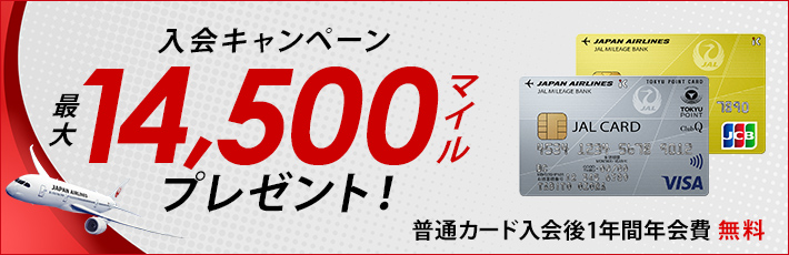 マイレージカードの種類とそれぞれの特徴 タビーカ Jalカード マイレージカードの種類とそれぞれの特徴 タビーカ Jalカード