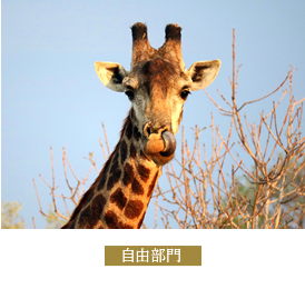 アフリカでにらめっこ