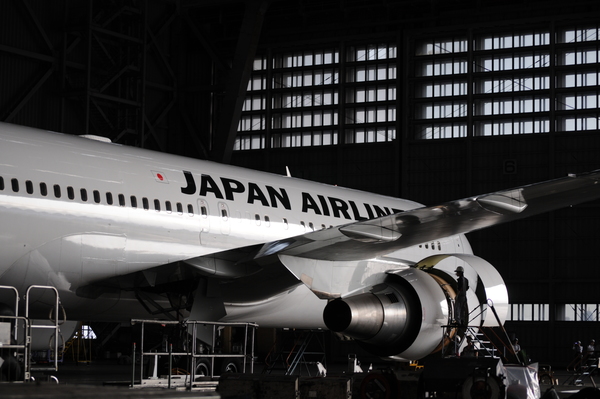 旅の裏