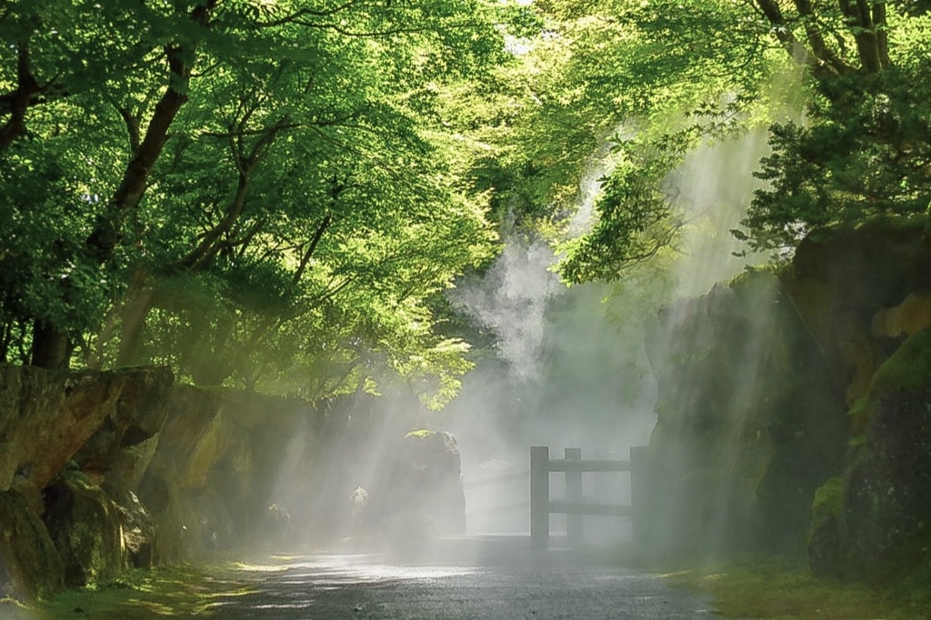 第5回 Jalカードと行った思い出の旅コンテスト 受賞作品発表