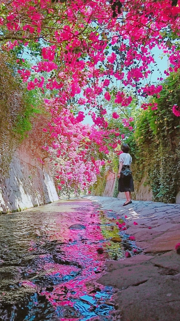 第5回 Jalカードと行った思い出の旅コンテスト 受賞作品発表