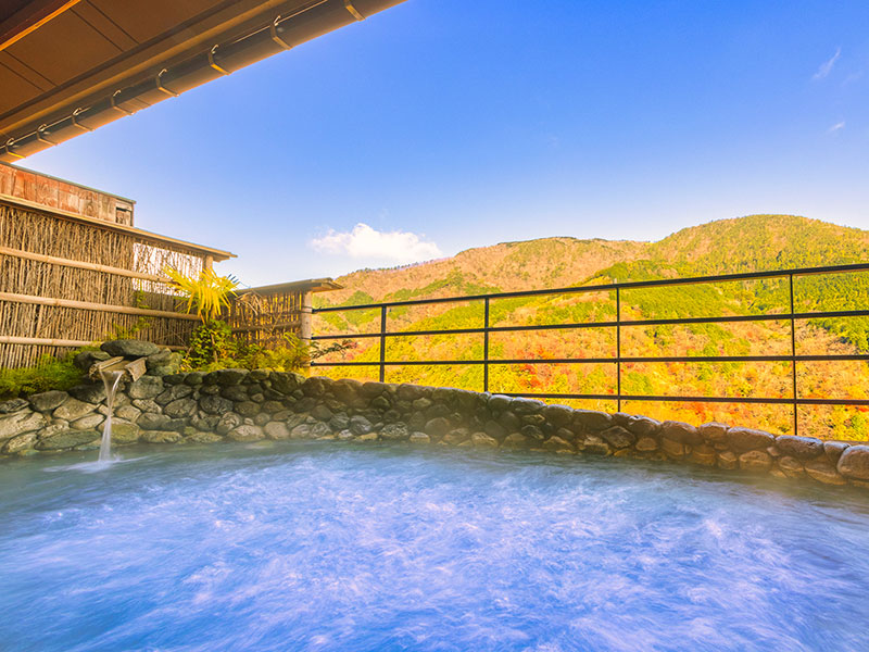 武蔵野本館 箱根吟遊