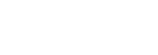 やんばる 緑の絨毯のように広がる照葉樹の森に抱かれる旅へ