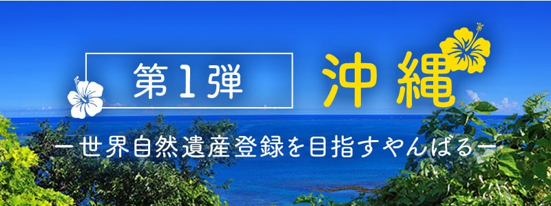 第1弾 沖縄 世界遺産登録を目指すやんばる