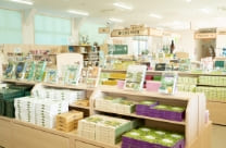詳しく知りたい情報は… 土庄港観光センター