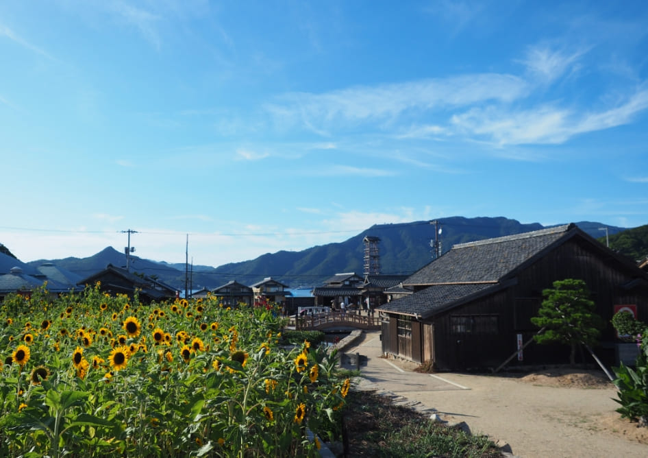 二十四の瞳映画村』の魅力を教えてください