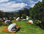 PICA Fujiyama