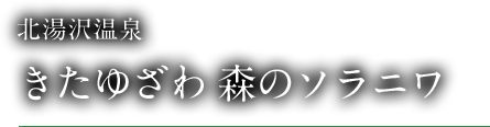 北湯沢温泉 きたゆざわ 森のソラニワ