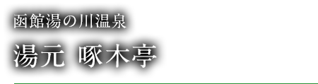 函館湯の川温泉 湯元 啄木亭