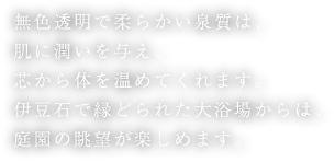 無色透明で柔らかい泉質は、肌に潤いを与え、芯から体を温めてくれます。伊豆石で縁どられた大浴場からは、庭園の眺望が楽しめます。