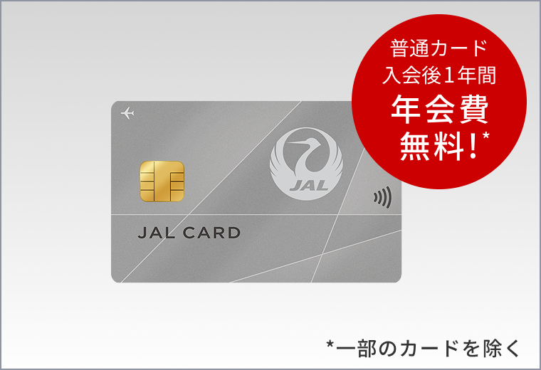 普通カード入会後1年間　年会費無料