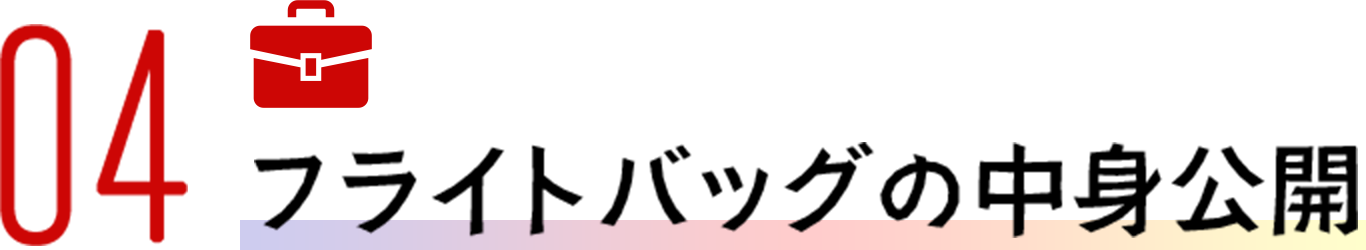 04 のバッグの公開公開