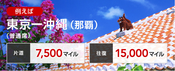 JALグループ国内線特典航空券