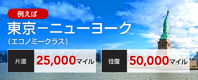 JAL国際線特典航空券