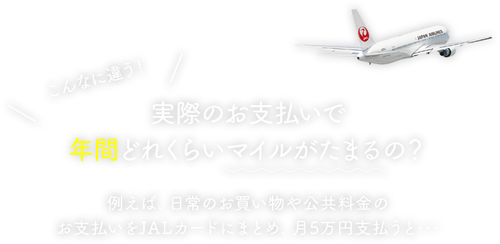 実際のお支払いで年間どれくらいマイルがたまるの？