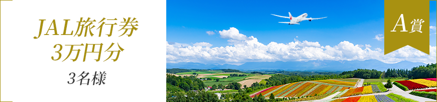 A賞 JAL旅行券3万円分 3名様